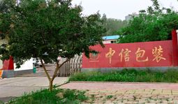 阀口袋|复合袋|纸塑袋|方底袋|炭黑袋|牛皮纸袋|颜料袋-新乡市中信包装有限公司